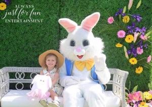 Easter Bunny OC