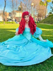 Little Mermaid Park Gown 